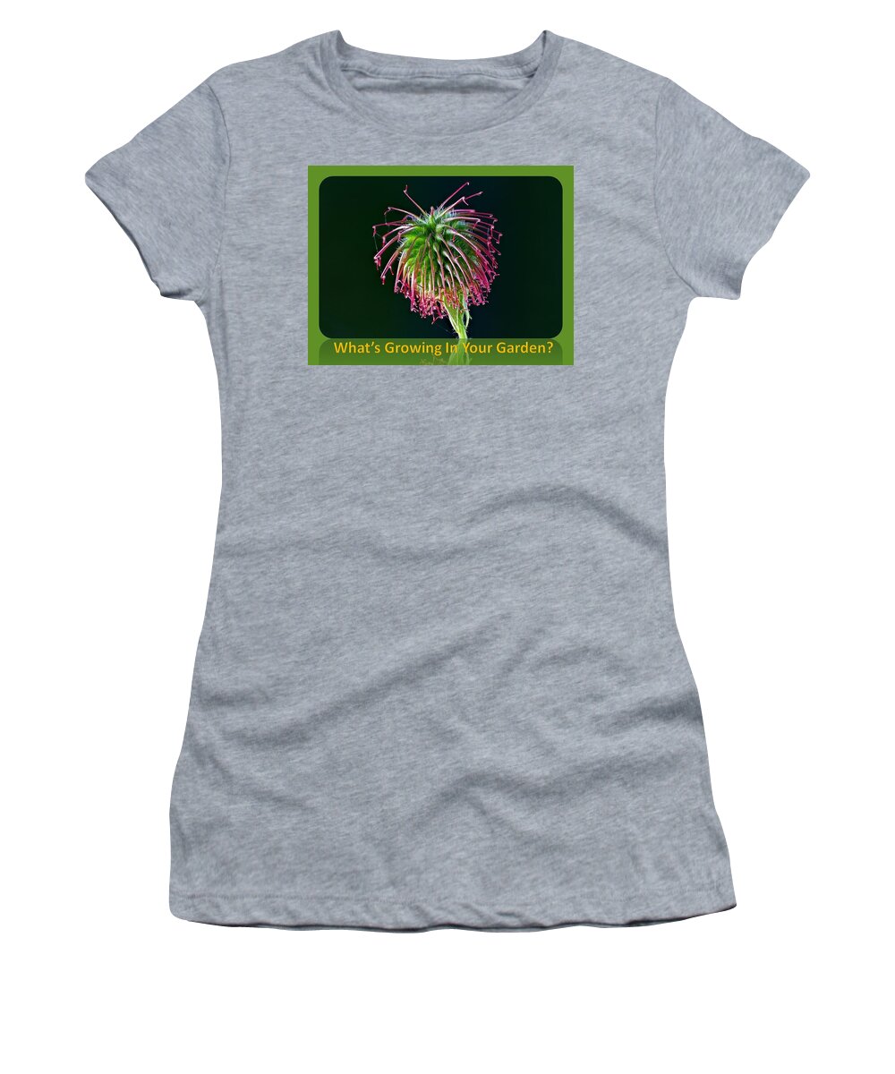 Flower Women's T-Shirt featuring the photograph What's Growing In Your Garden by Nancy Ayanna Wyatt