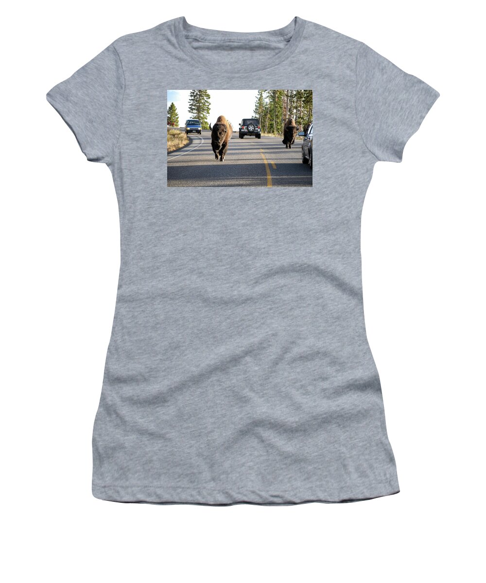 Buffalo Women's T-Shirt featuring the photograph Where The Buffalo Roam - Bison, Yellowstone National Park, Wyoming by Earth And Spirit