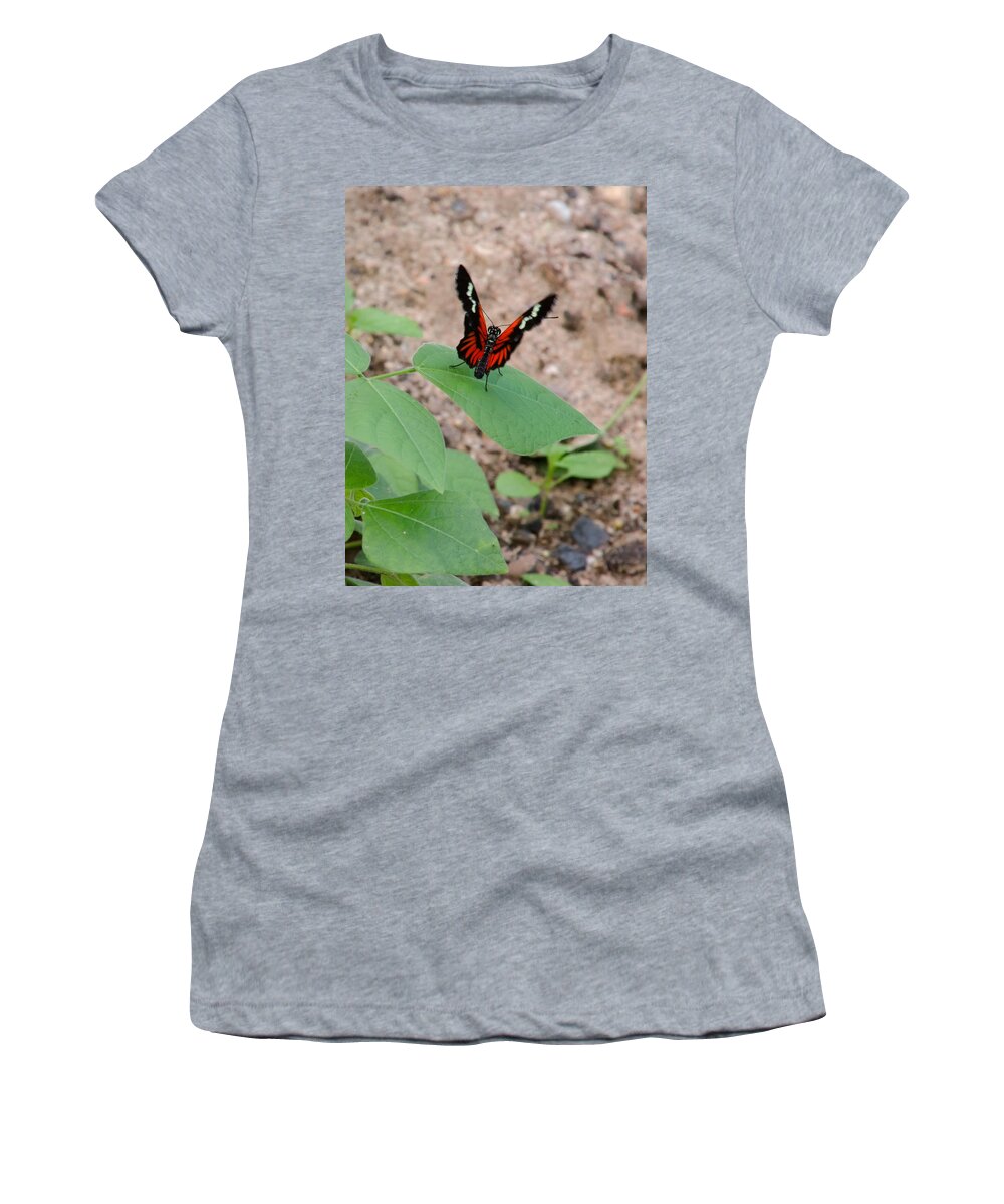 Heliconius-melpomene Women's T-Shirt featuring the photograph Whispering of butterfly wings 10 by Jaroslav Buna