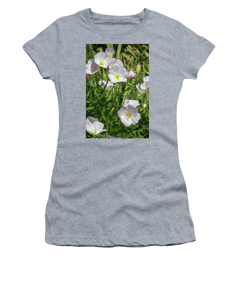 Flower Women's T-Shirt featuring the photograph White Evening Primroses by Dawn Cavalieri