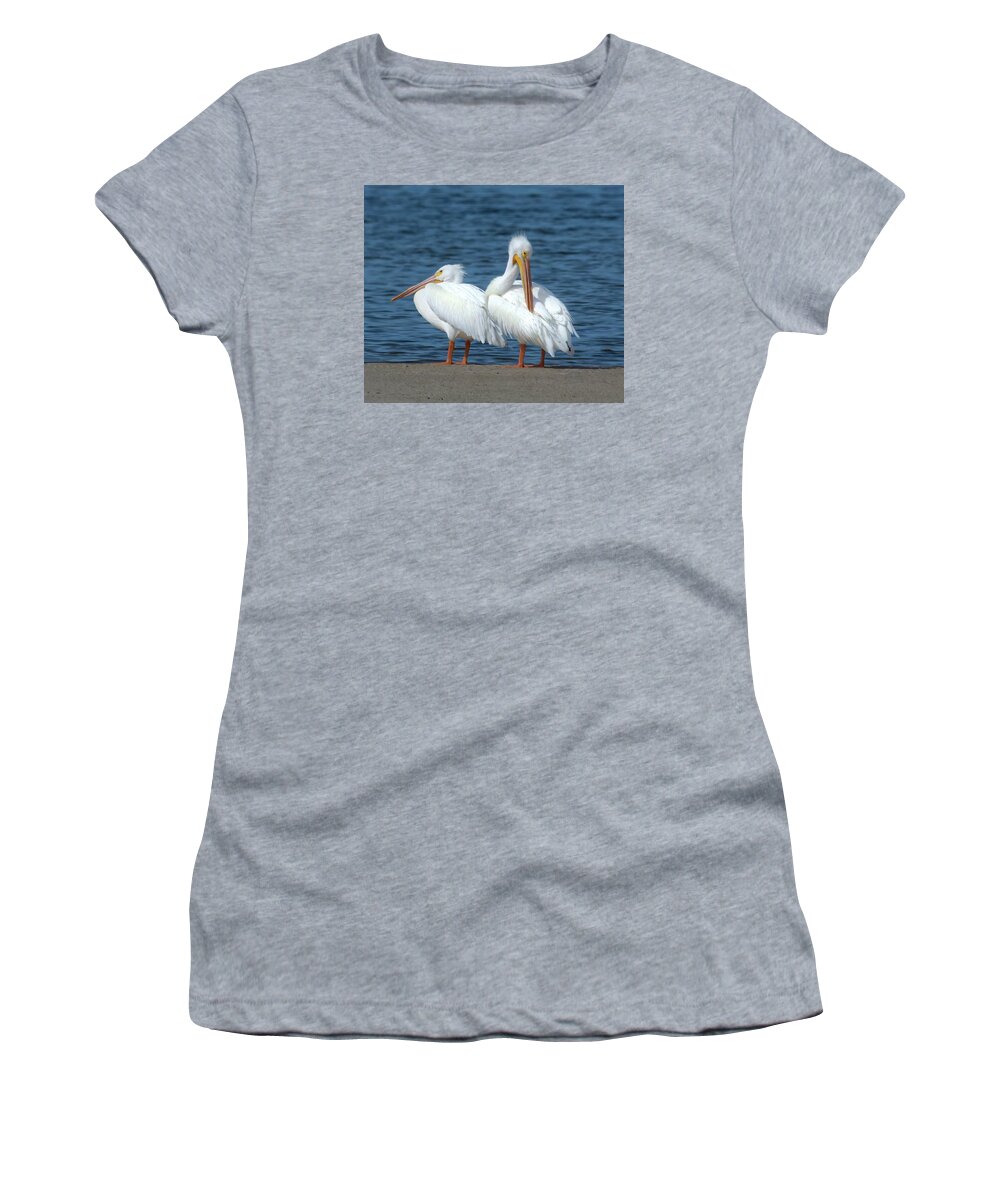 White Pelican Women's T-Shirt featuring the photograph White Pelicans by Rebecca Herranen