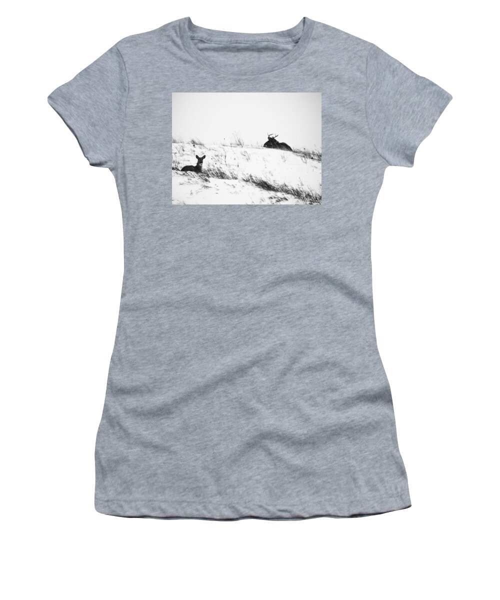 Deer Women's T-Shirt featuring the photograph White Tail Deer In The Snow by Amanda R Wright