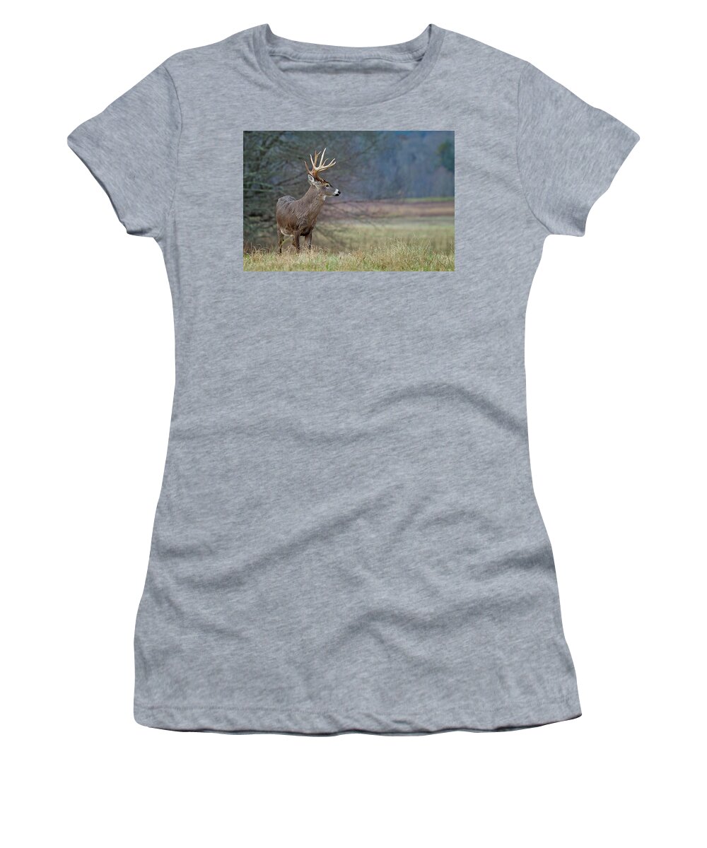 White-tailed Buck Women's T-Shirt featuring the photograph White-tailed Buck by Rhonda McClure