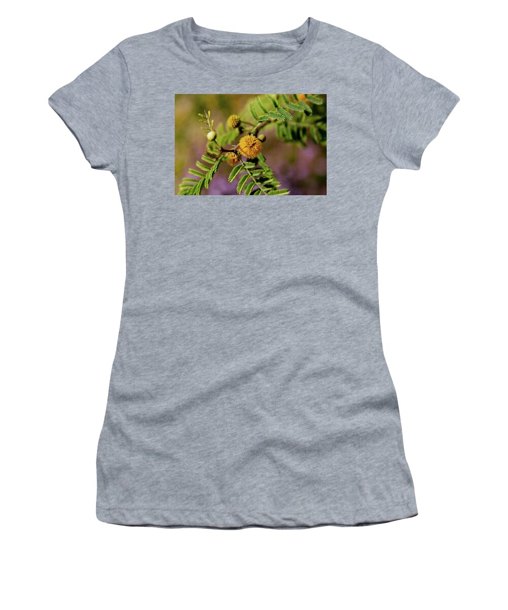 Acacia Women's T-Shirt featuring the photograph White Thorn Acacia in Bloom by Bonny Puckett