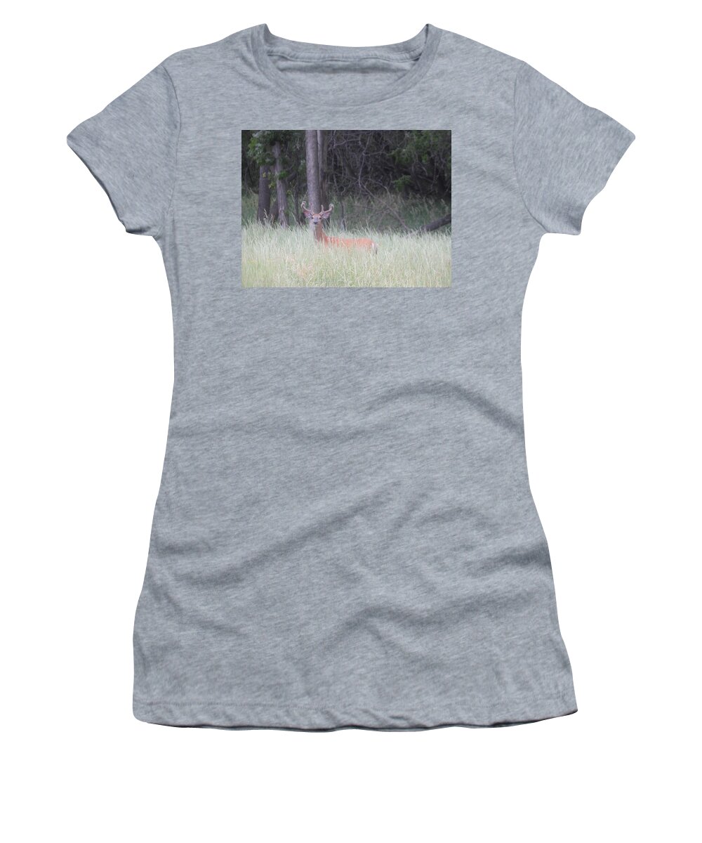 Buck Women's T-Shirt featuring the photograph Whitetail Buck in Velvet by Amanda R Wright