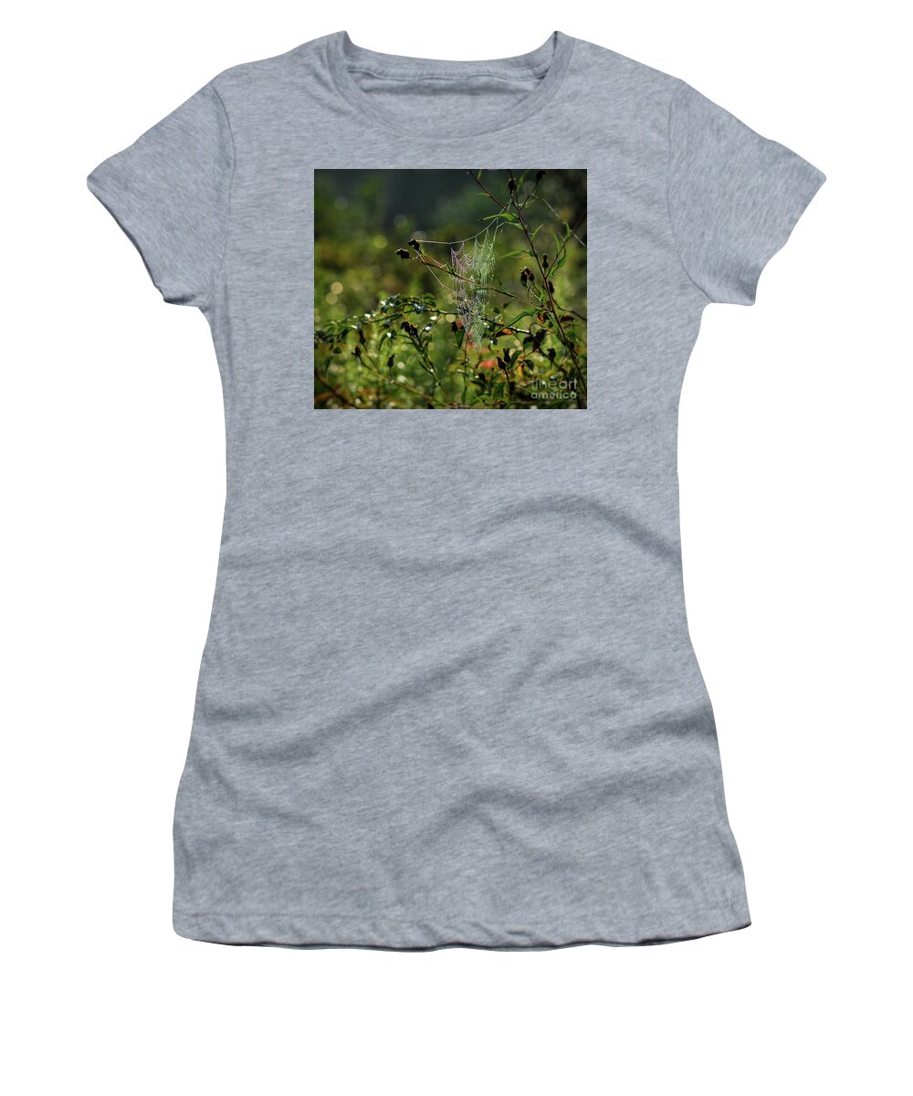 Web Women's T-Shirt featuring the photograph Wild About Webs by Kerri Farley