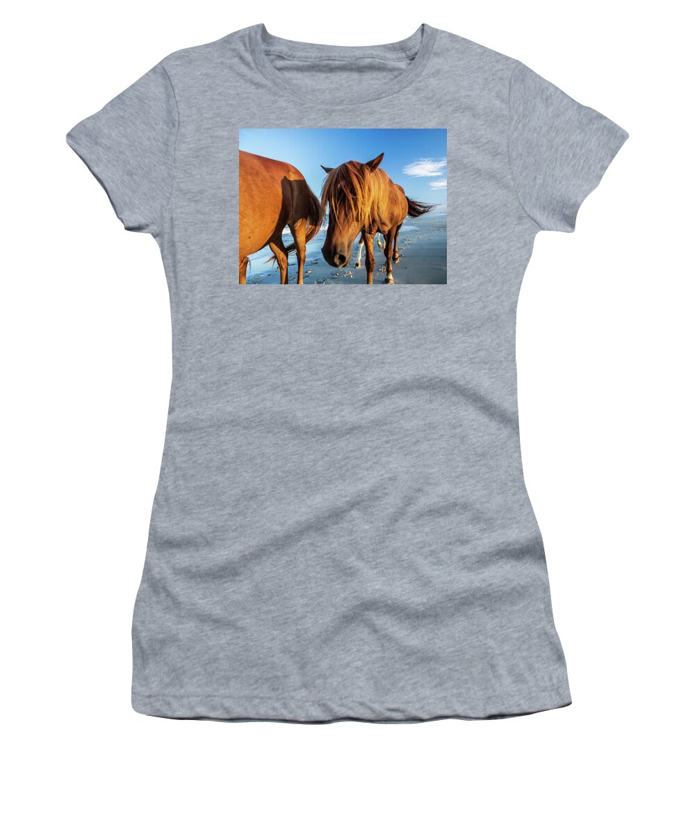 5-places Women's T-Shirt featuring the photograph Wild Pony Head Shot Assateague Island by Louis Dallara