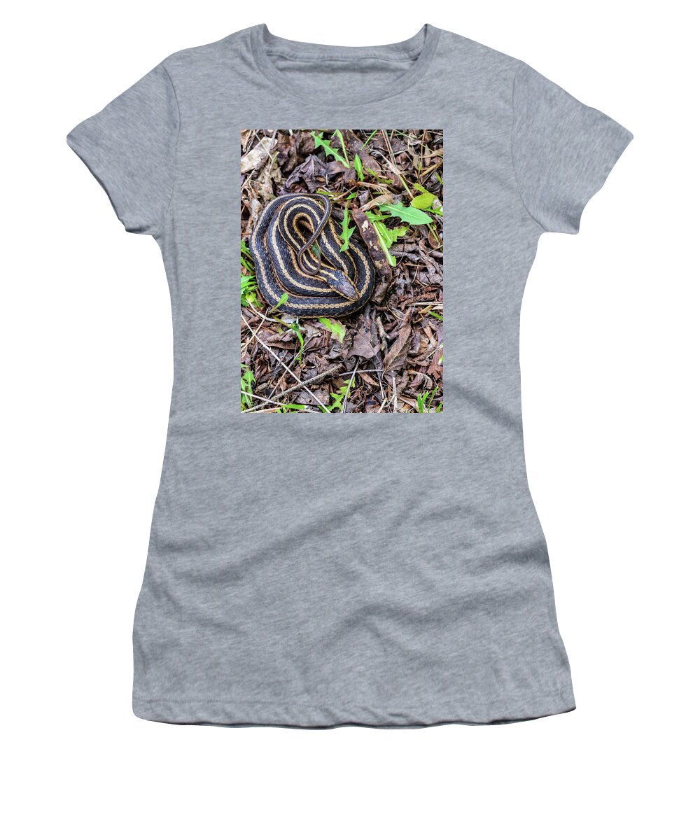 Animals Women's T-Shirt featuring the photograph Wildlife Photography - Snake In The Garden by Amelia Pearn
