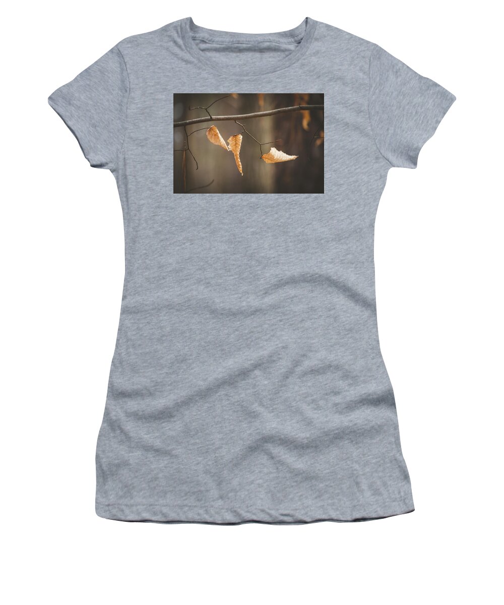 Foliage Women's T-Shirt featuring the photograph Winter Foliage 1 by Rick Nelson