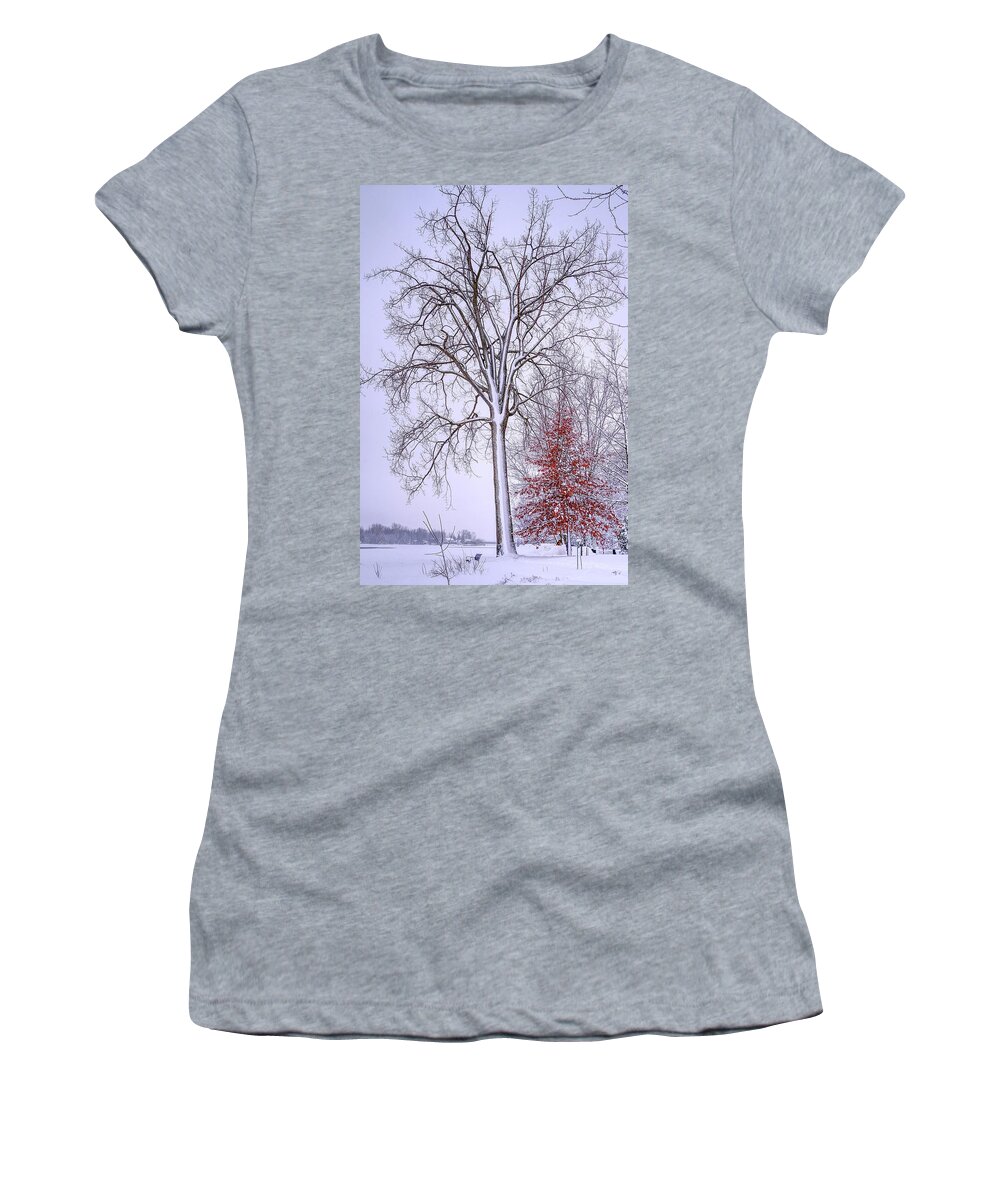 White Women's T-Shirt featuring the photograph Winter, i don't wanna a lose red by Carl Marceau