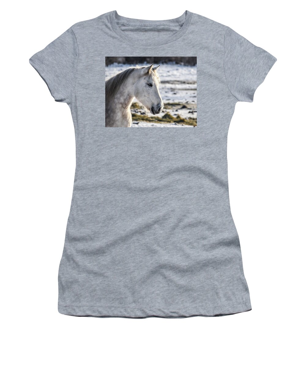 Winter Women's T-Shirt featuring the photograph Winter Thoughts by Listen To Your Horse