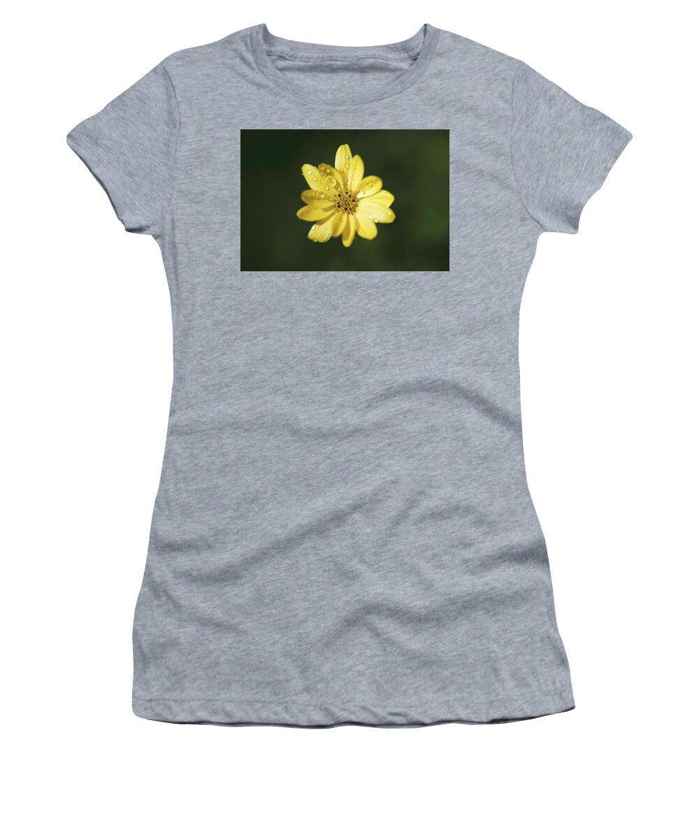 Flowers Women's T-Shirt featuring the photograph Wishing You a Sunshiny Day by Laurie Search