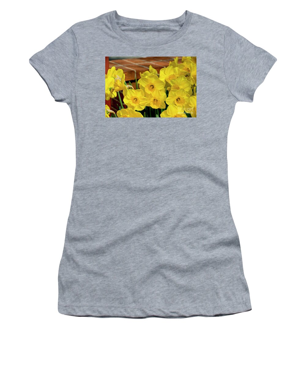 Daffodils Women's T-Shirt featuring the photograph Yellow Daffodils, 1 by Glenn Franco Simmons
