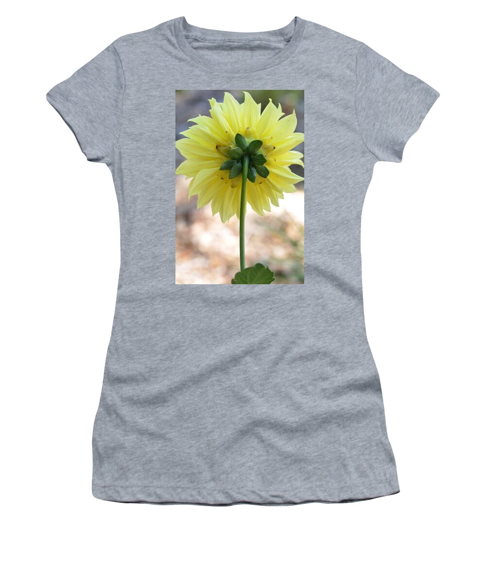Dahlia Women's T-Shirt featuring the photograph Yellow Dahlia Silhouette by Amy Fose