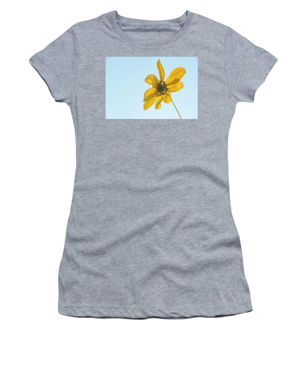 Daisy Women's T-Shirt featuring the photograph Yellow Daisy And Sky by Phil And Karen Rispin