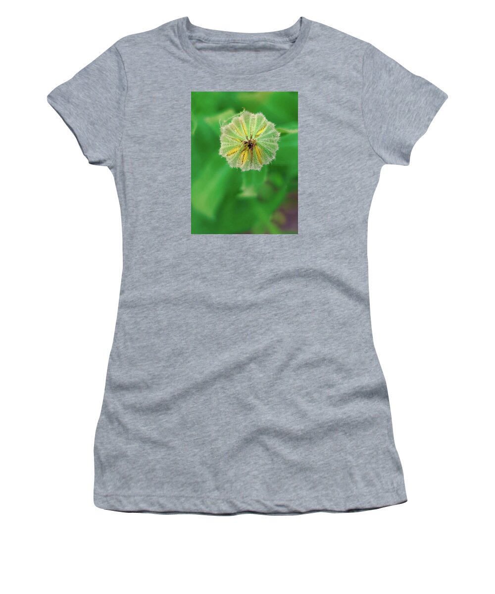 Art Women's T-Shirt featuring the photograph Yellow Daisy Bud Macro by Joan Han