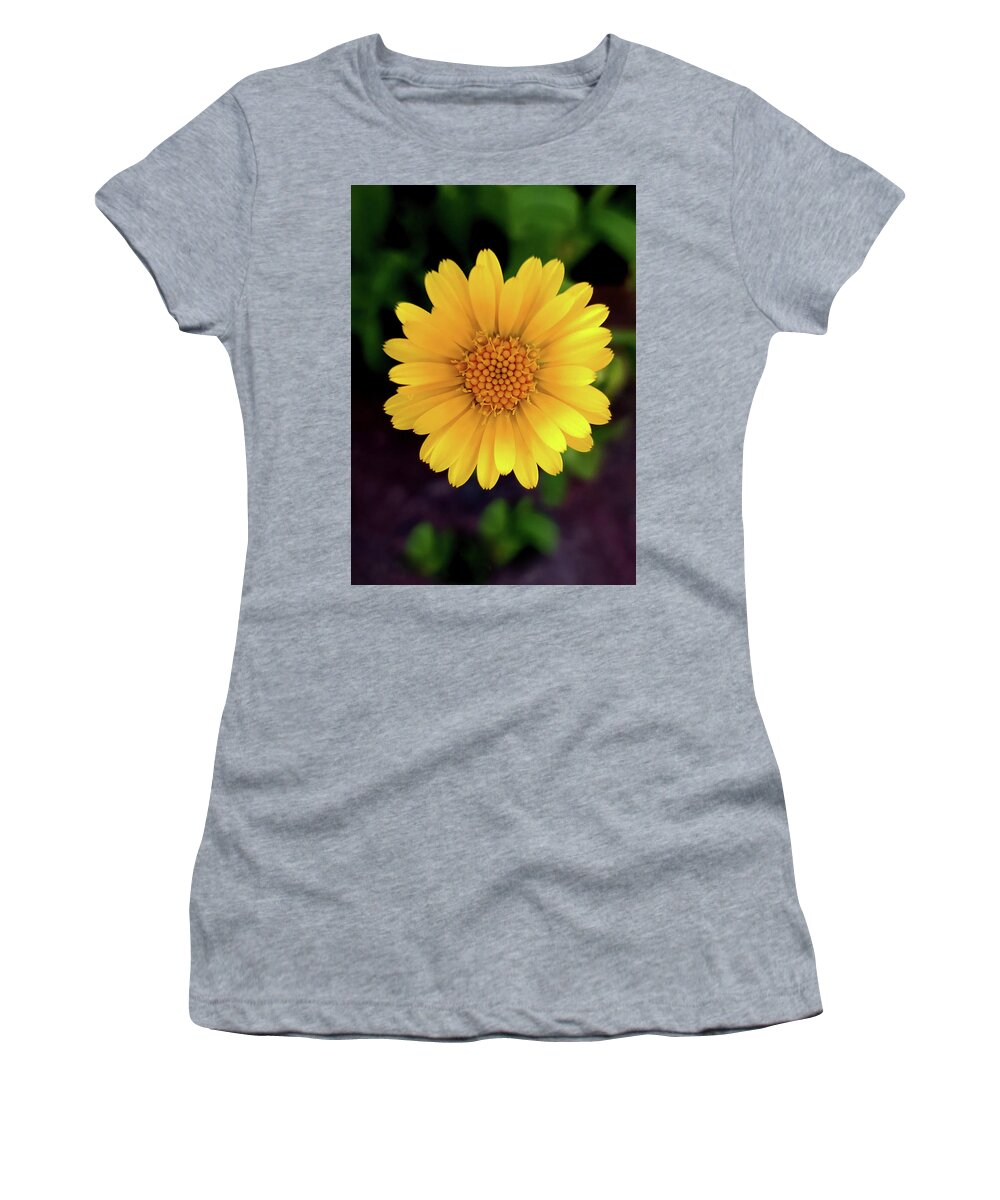 Art Women's T-Shirt featuring the photograph Yellow Daisy I Vertical by Joan Han