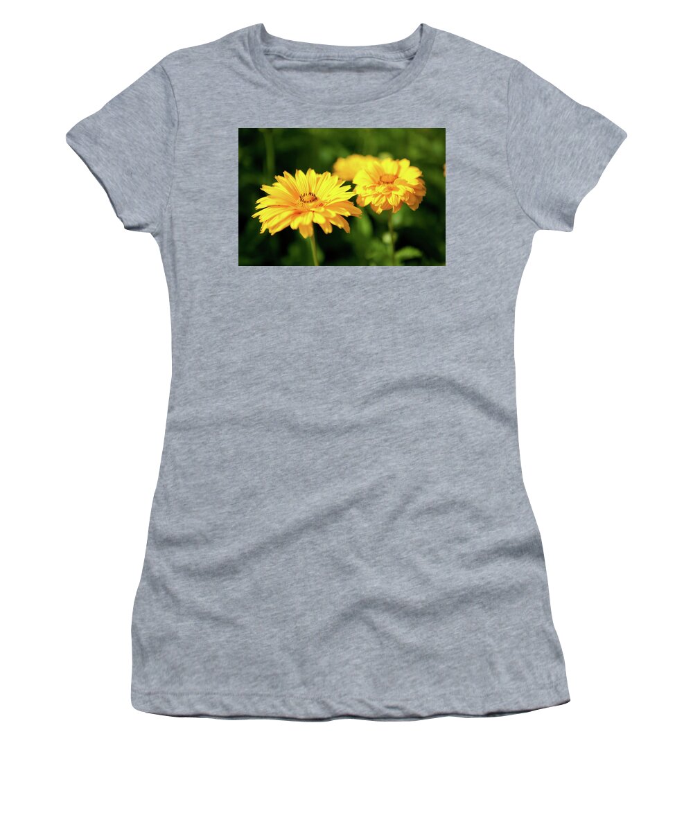 Flowers Women's T-Shirt featuring the photograph Yellow Flowers by Rich S
