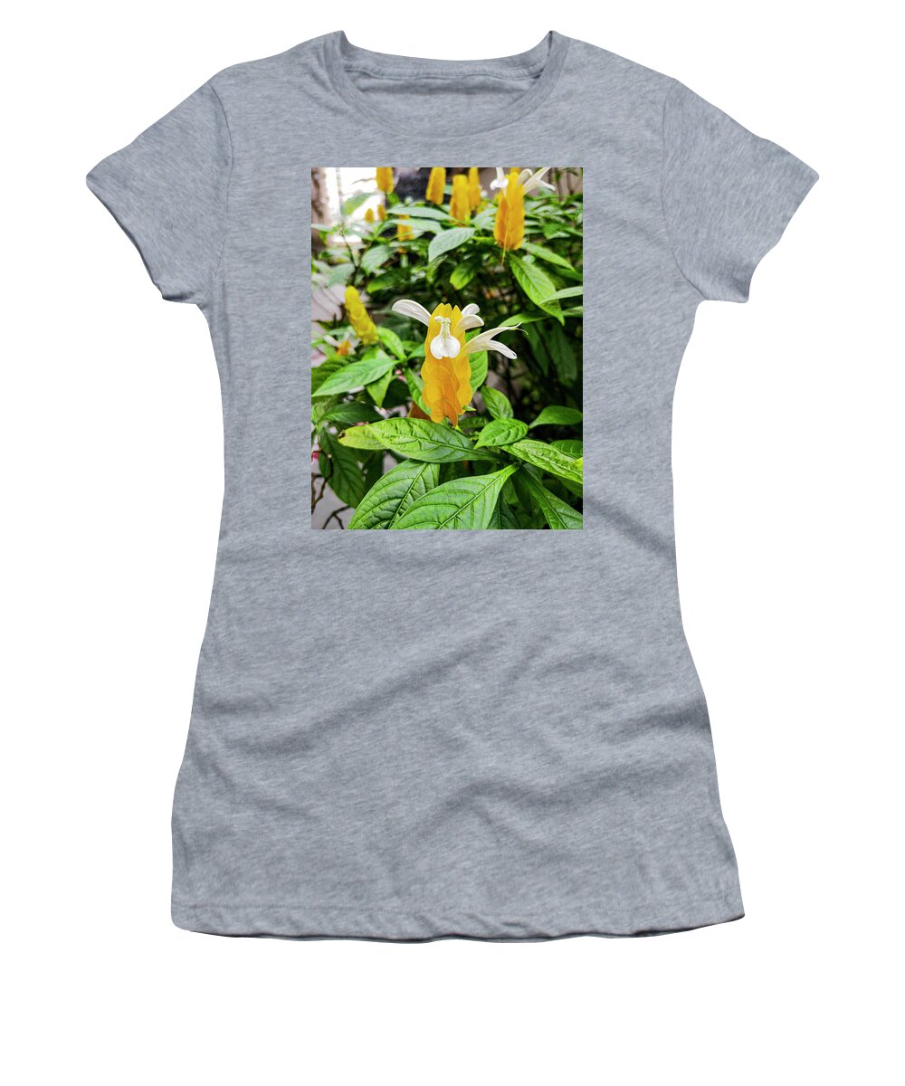 Justicia Brandegeeana Women's T-Shirt featuring the photograph Yellow Mexican Shrimp Flower by Aydin Gulec