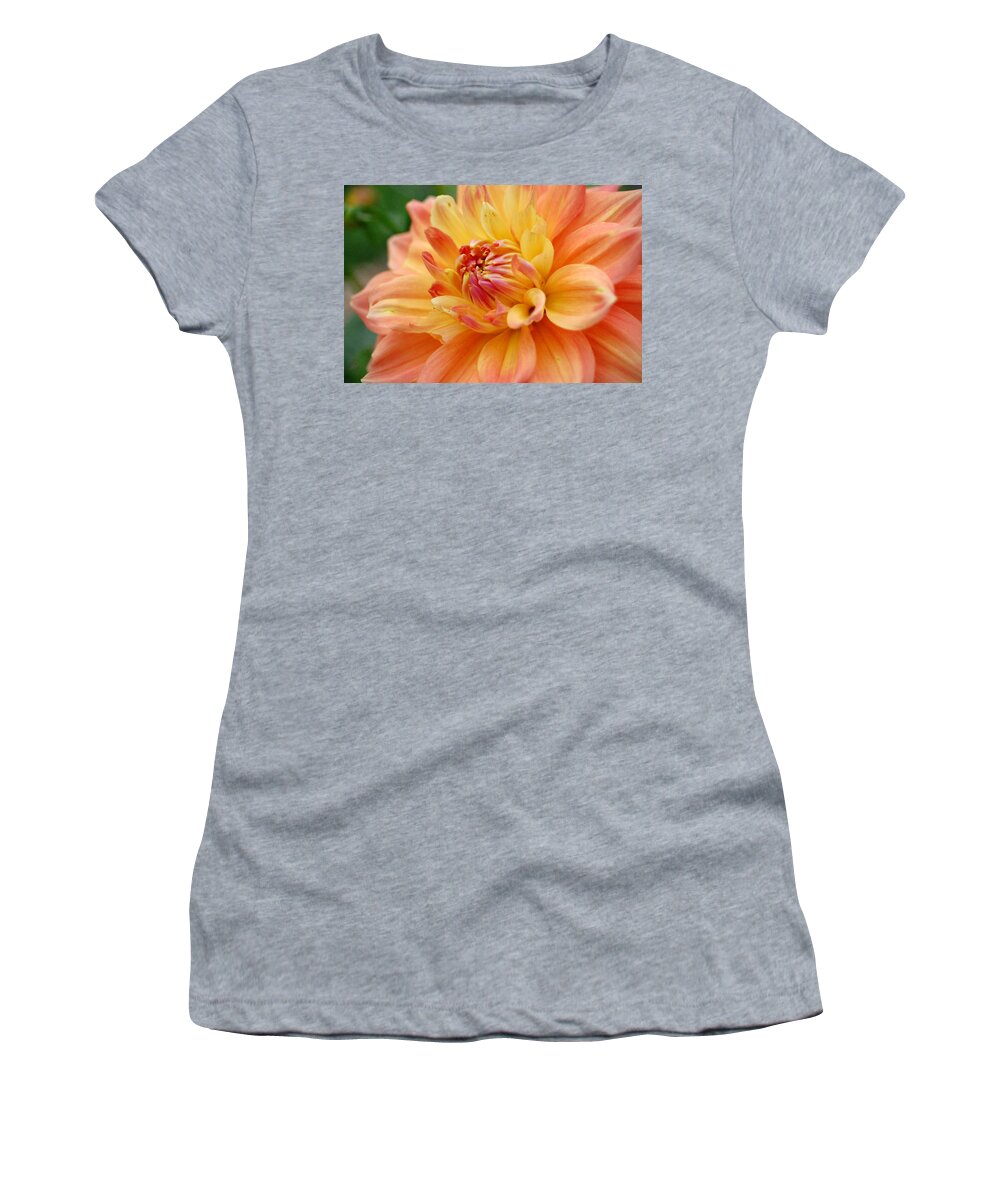 Dahlia Women's T-Shirt featuring the photograph Yellow Orange Dahlia 1 by Amy Fose