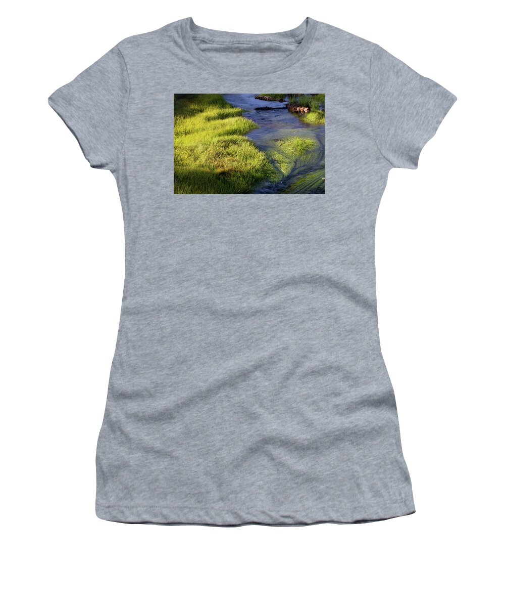 North America Women's T-Shirt featuring the photograph Yellowstone Patterns by Mark Miller