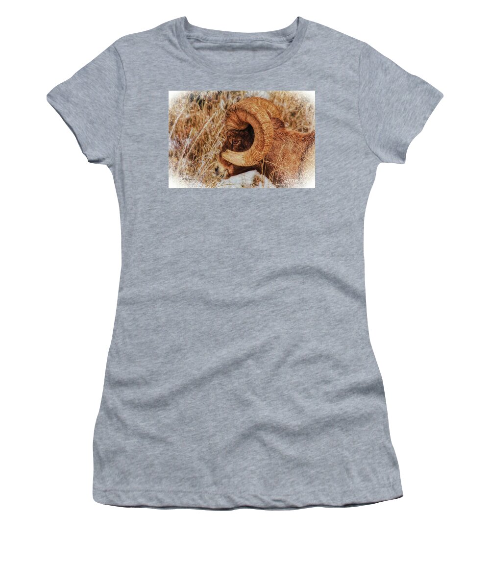 Wildlife Women's T-Shirt featuring the mixed media Yellowstone Wildlife Artistry by DB Hayes