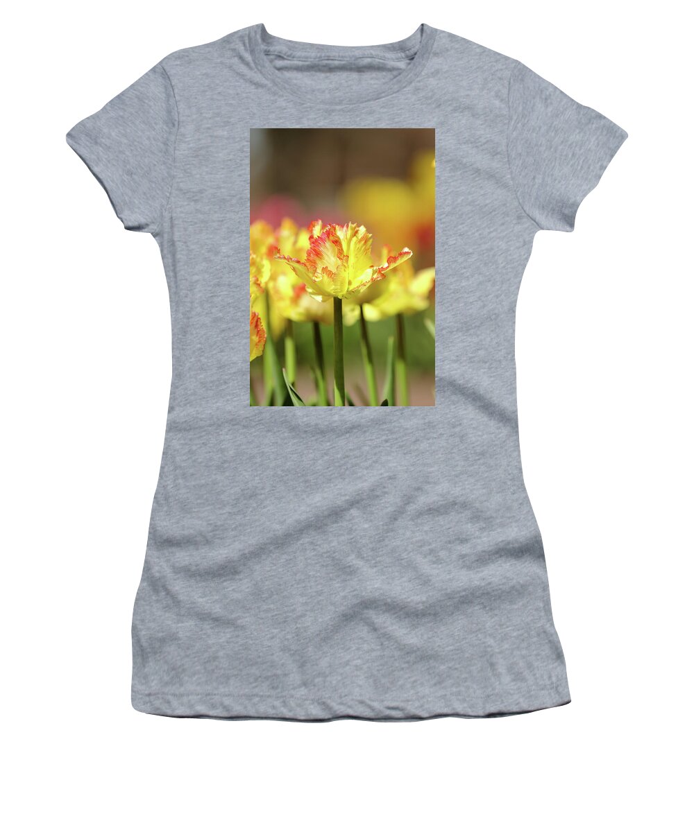 Nature Women's T-Shirt featuring the photograph You Light Up My Life by Lens Art Photography By Larry Trager