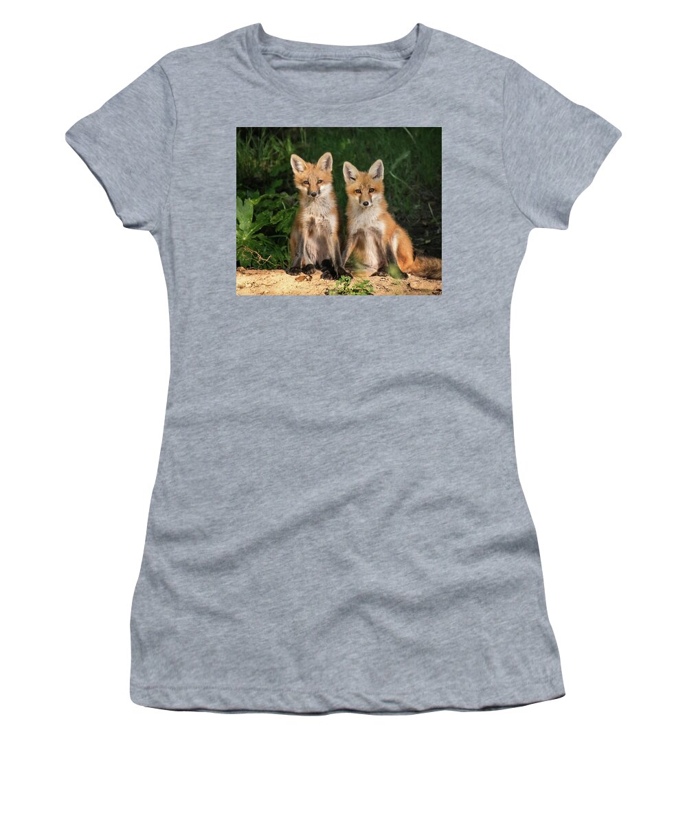 Fox Women's T-Shirt featuring the photograph Young Fox in the Wild by Edward Shotwell