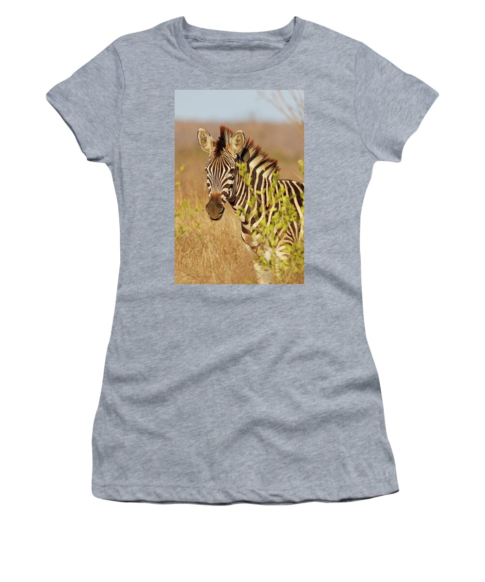 Zebra Women's T-Shirt featuring the photograph Zebra Hiding Behind a Bush by MaryJane Sesto