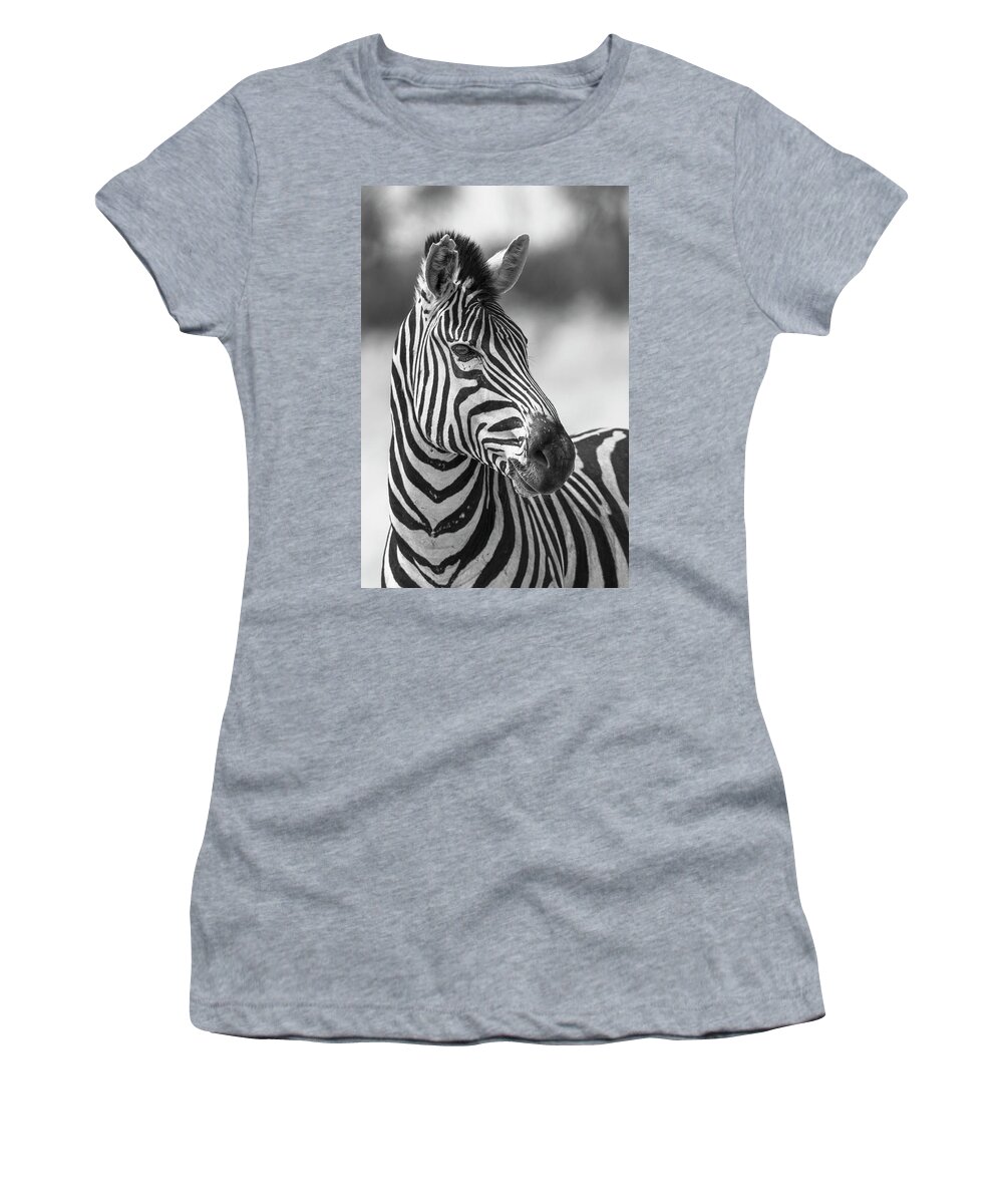 Africa Women's T-Shirt featuring the photograph Zebra Love by Bill Cubitt