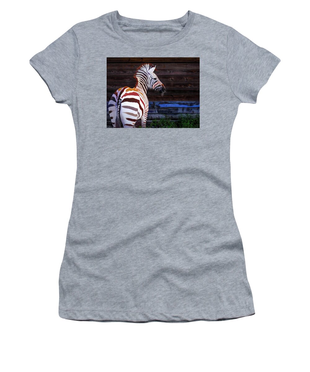 Zebra Women's T-Shirt featuring the photograph Zebra Stripe Mix Up by Ginger Stein