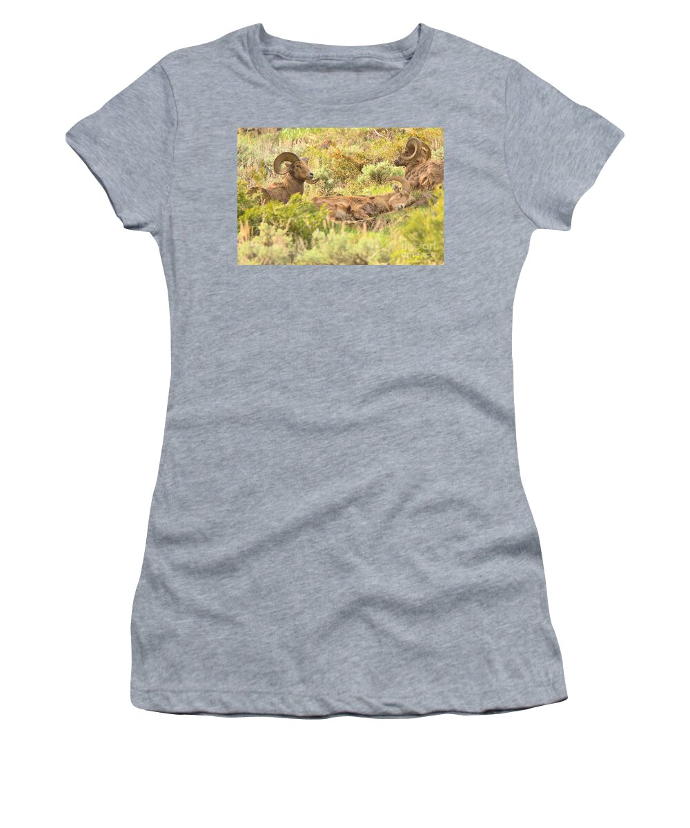 Bighorn Women's T-Shirt featuring the photograph Zonked Out by Adam Jewell