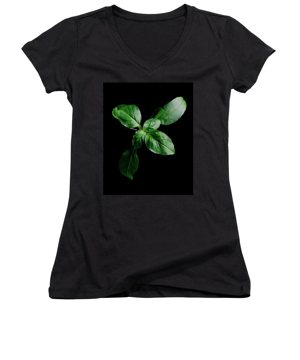Herbs Women's V-Neck featuring the photograph A Sprig Of Basil by Romulo Yanes