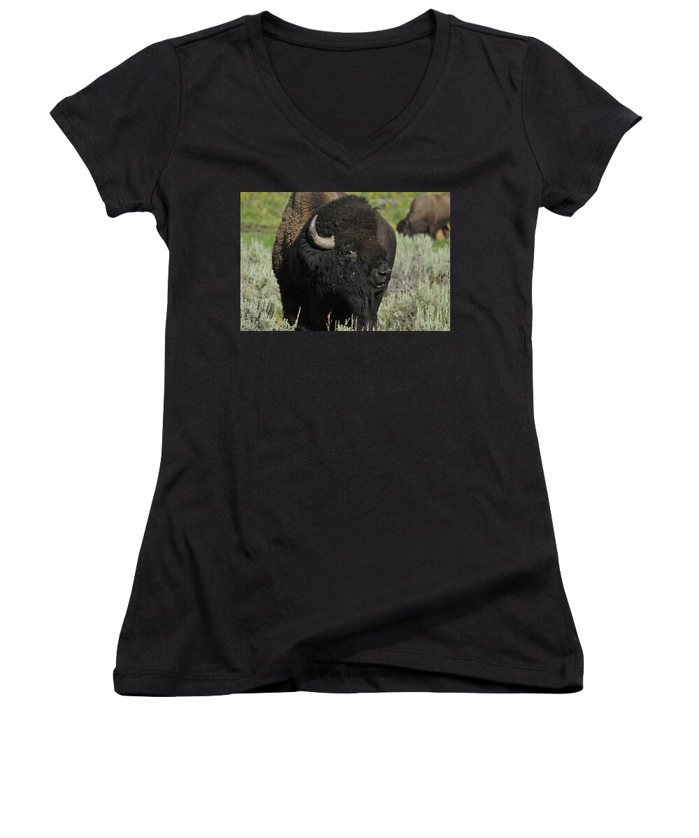Bison Women's V-Neck featuring the photograph Bison #1 by Frank Madia