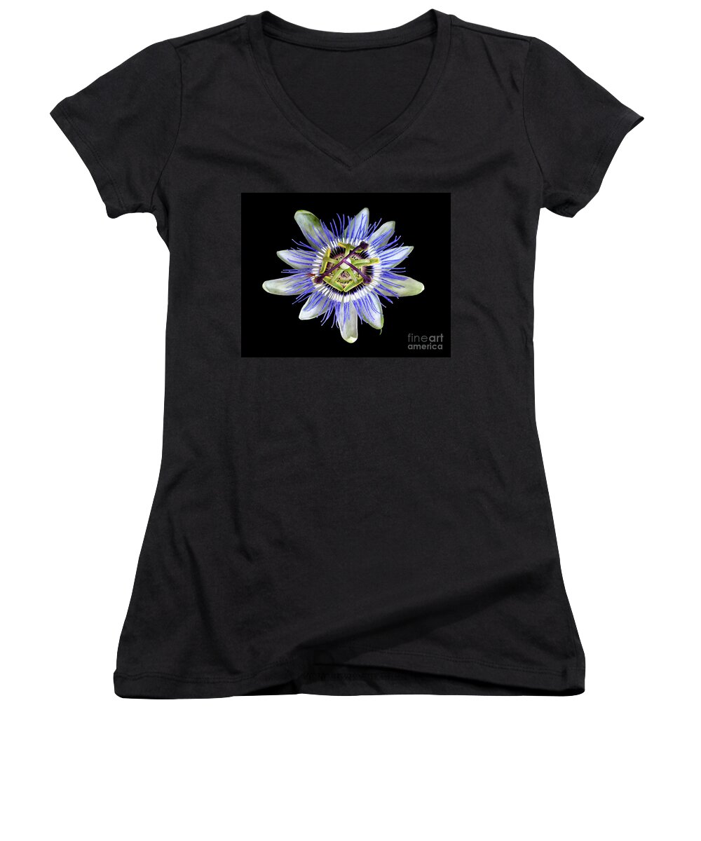 Passion Flower Women's V-Neck featuring the photograph Fly's Passion by Jennie Breeze