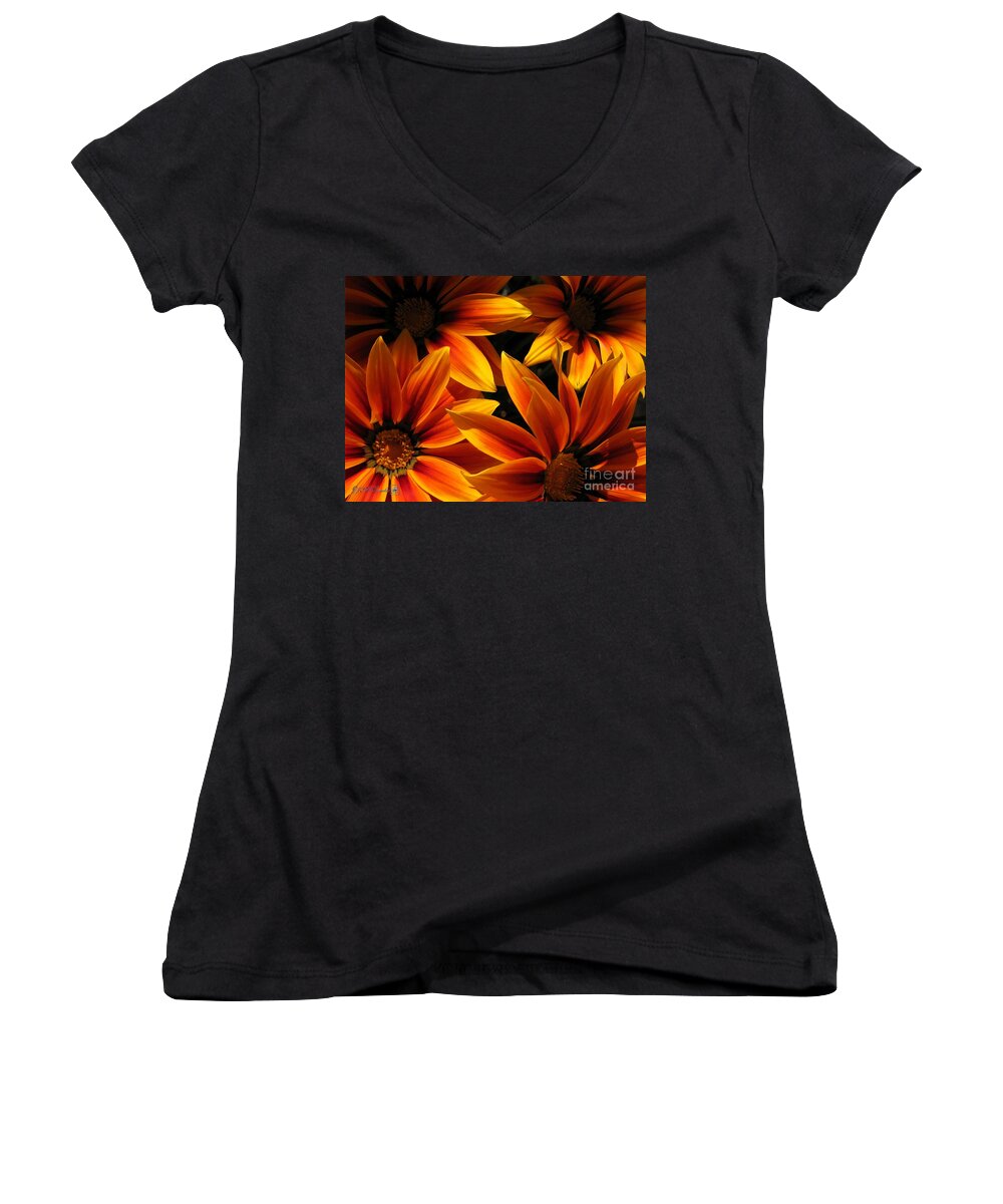 Mccombie Women's V-Neck featuring the photograph Gazania named Kiss Orange Flame #1 by J McCombie