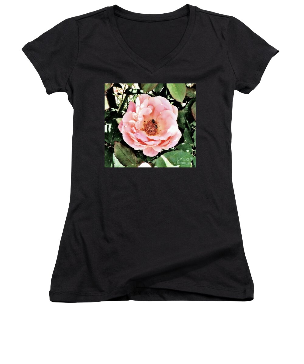 Rose Women's V-Neck featuring the photograph Pink Rose with Bee by Janette Boyd