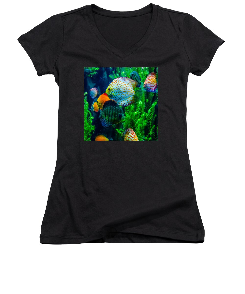 Animal Women's V-Neck featuring the photograph Salt Water Fish In The Ocean Or Aquarium #1 by Alex Grichenko