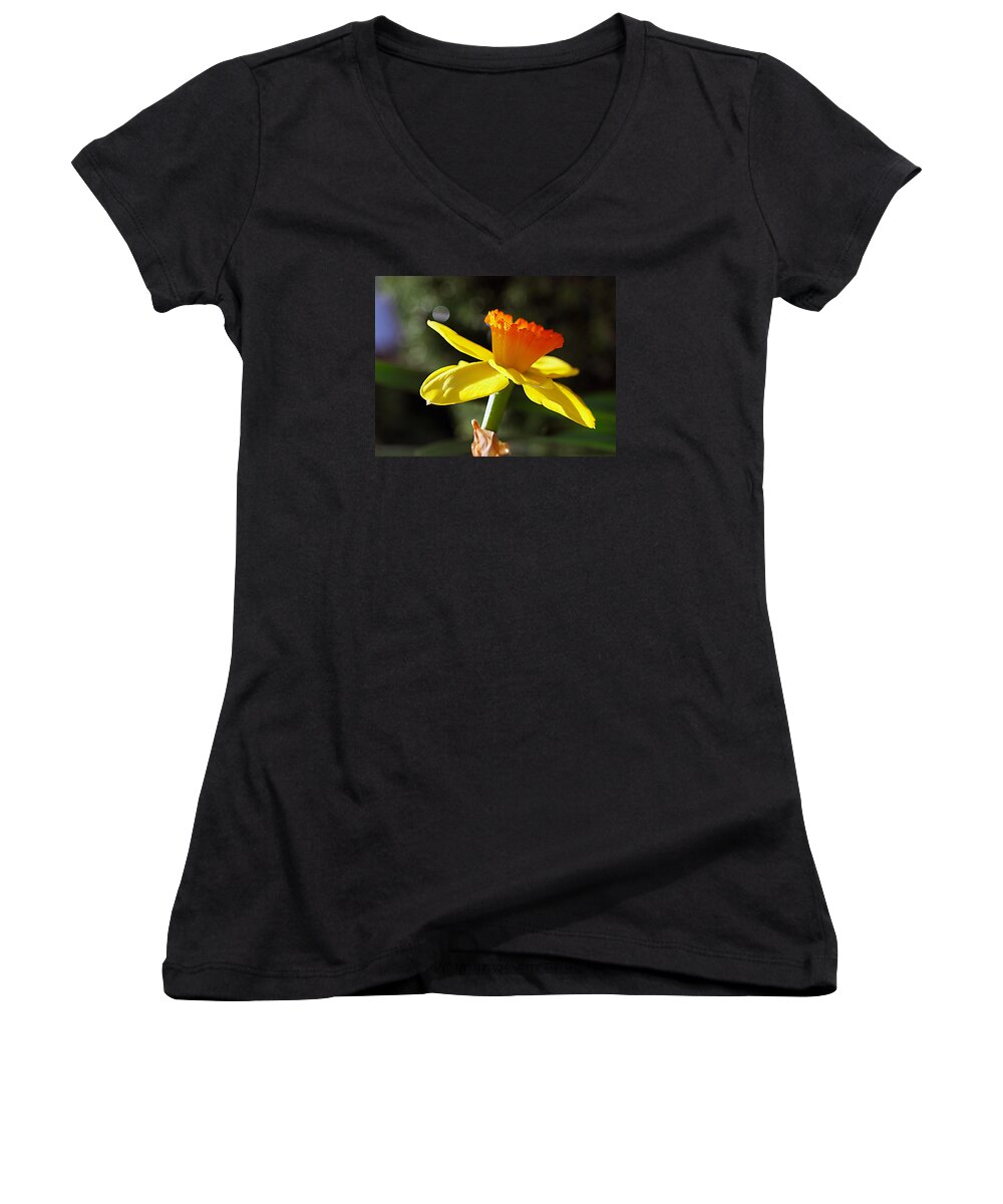 Daffodil Women's V-Neck featuring the photograph Wide Open by Joe Schofield