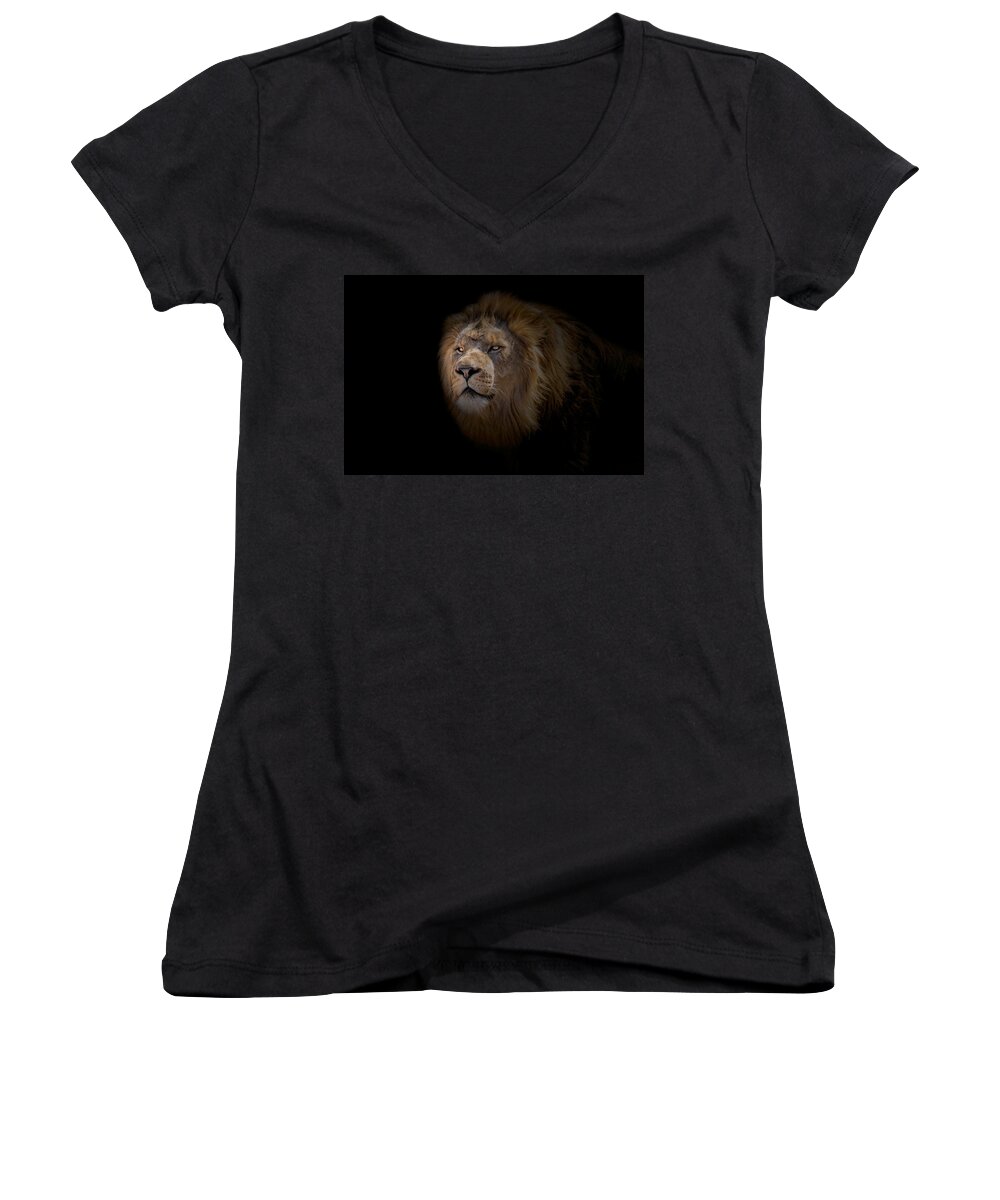 Africa Women's V-Neck featuring the photograph African Lion #2 by Peter Lakomy