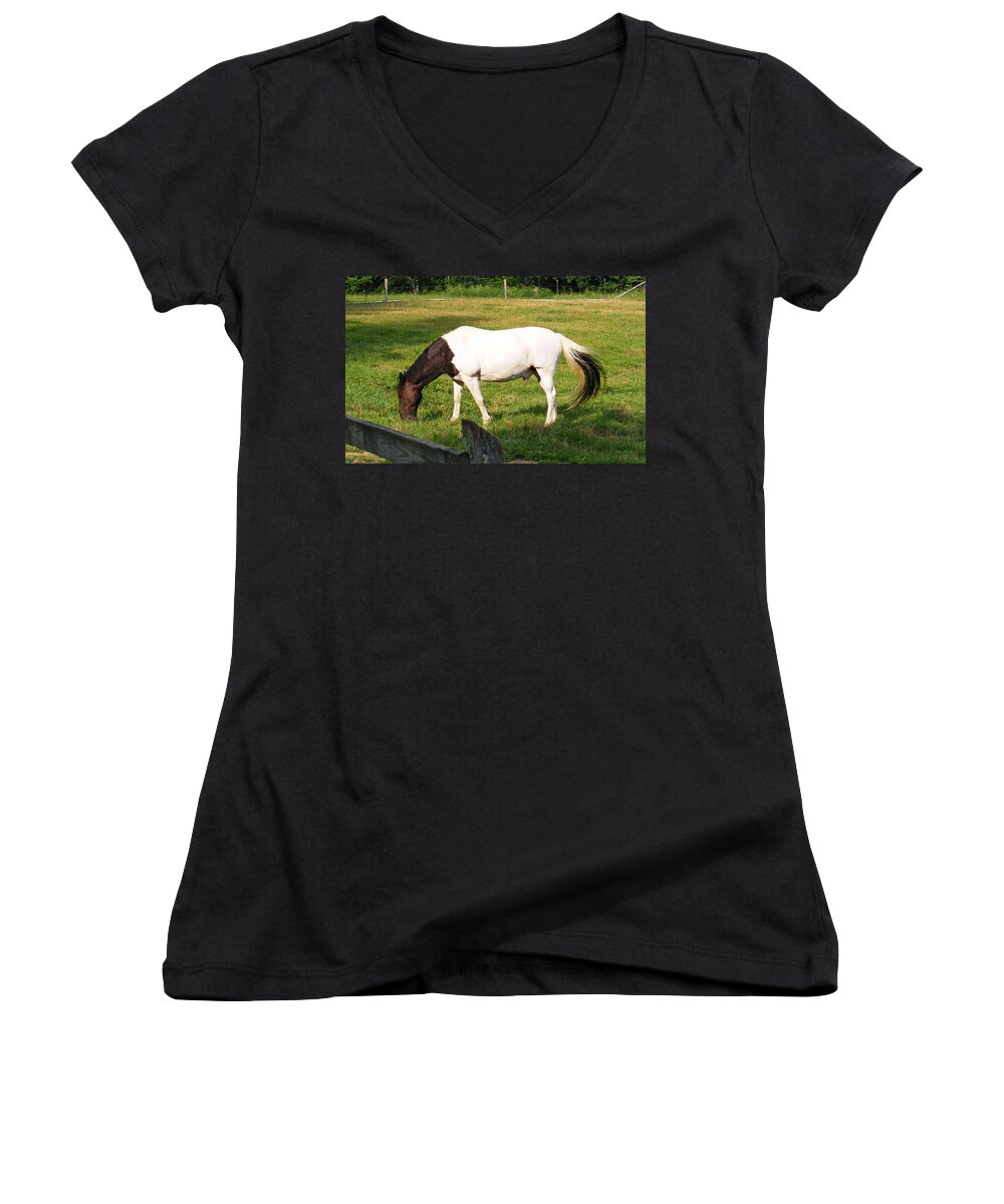 Duane Mccullough Women's V-Neck featuring the photograph A Horse named Dipstick by Duane McCullough