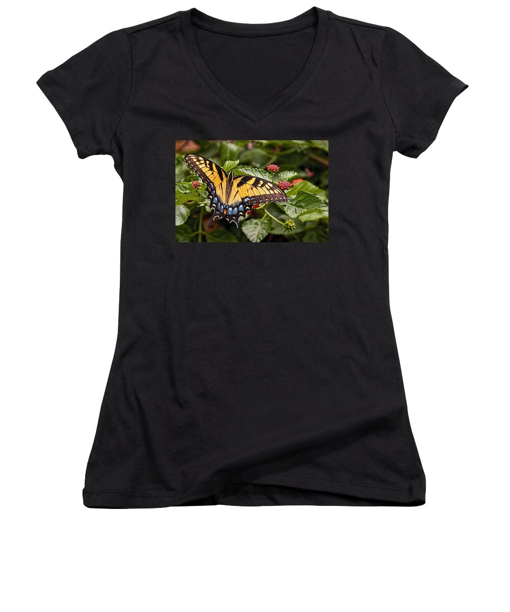 Animal Women's V-Neck featuring the photograph A Moments Rest by Penny Lisowski