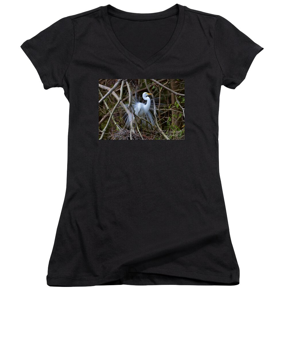 Birds Women's V-Neck featuring the photograph A Season Of Love by Kathy Baccari