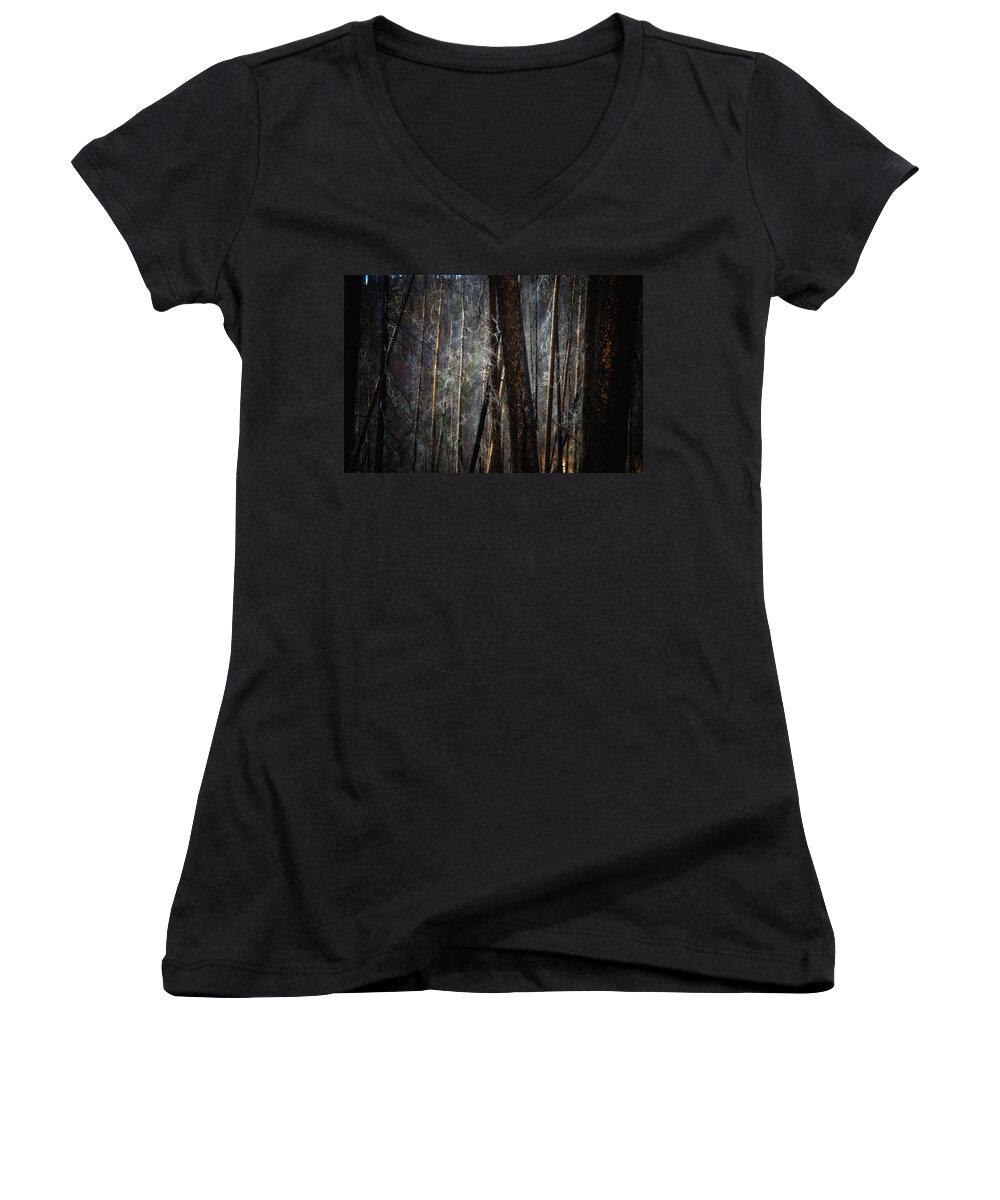 Newel Hunter Women's V-Neck featuring the photograph After the Burn 6 by Newel Hunter