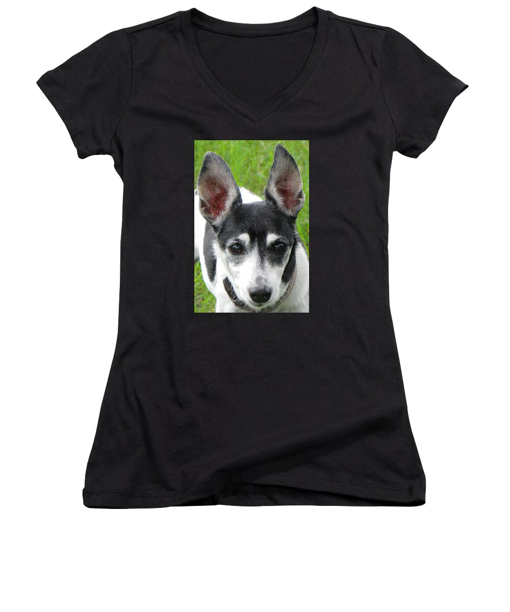 Dog Women's V-Neck featuring the photograph All Ears by Rosalie Scanlon