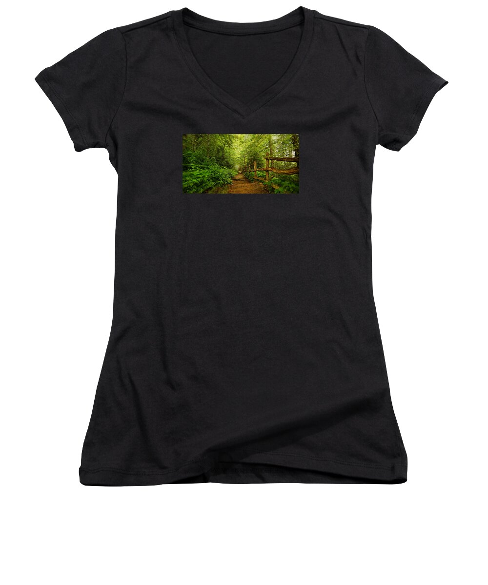 Appalachian Trail Women's V-Neck featuring the photograph Appalachian Trail at Newfound Gap by Stephen Stookey