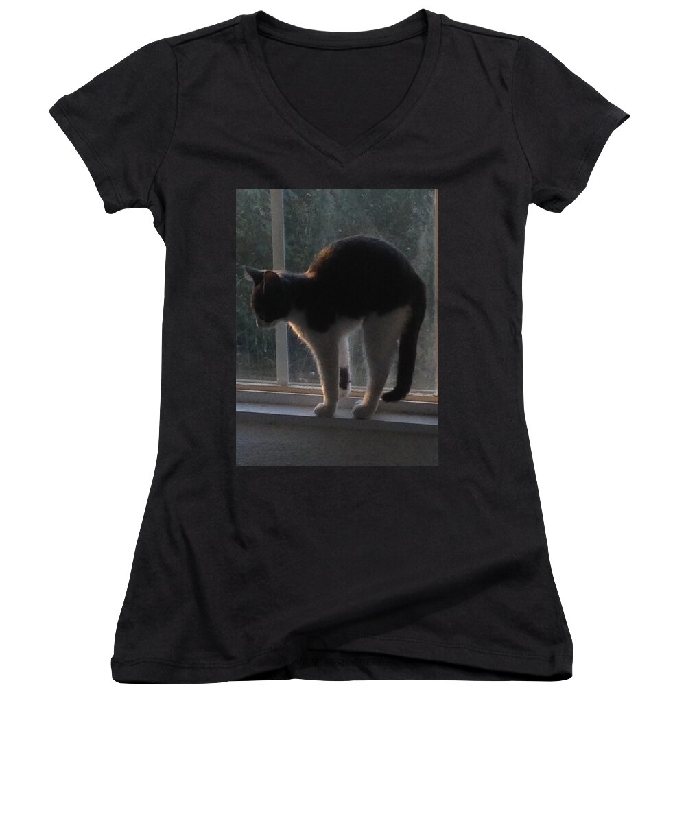 Cat Women's V-Neck featuring the photograph Arch by Erika Jean Chamberlin