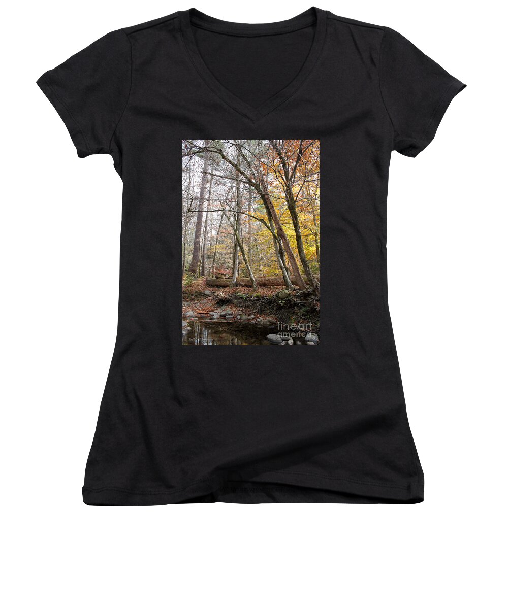 Landscape Women's V-Neck featuring the photograph Autumn Seclusion by Todd Blanchard