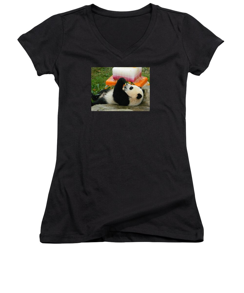 Baby Bao Bao's First Birthday Women's V-Neck featuring the photograph Baby Bao Bao's First Birthday by Emmy Vickers