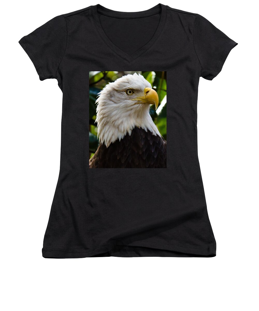 Bald Eagle Women's V-Neck featuring the photograph Bald Is Beautiful by Robert L Jackson
